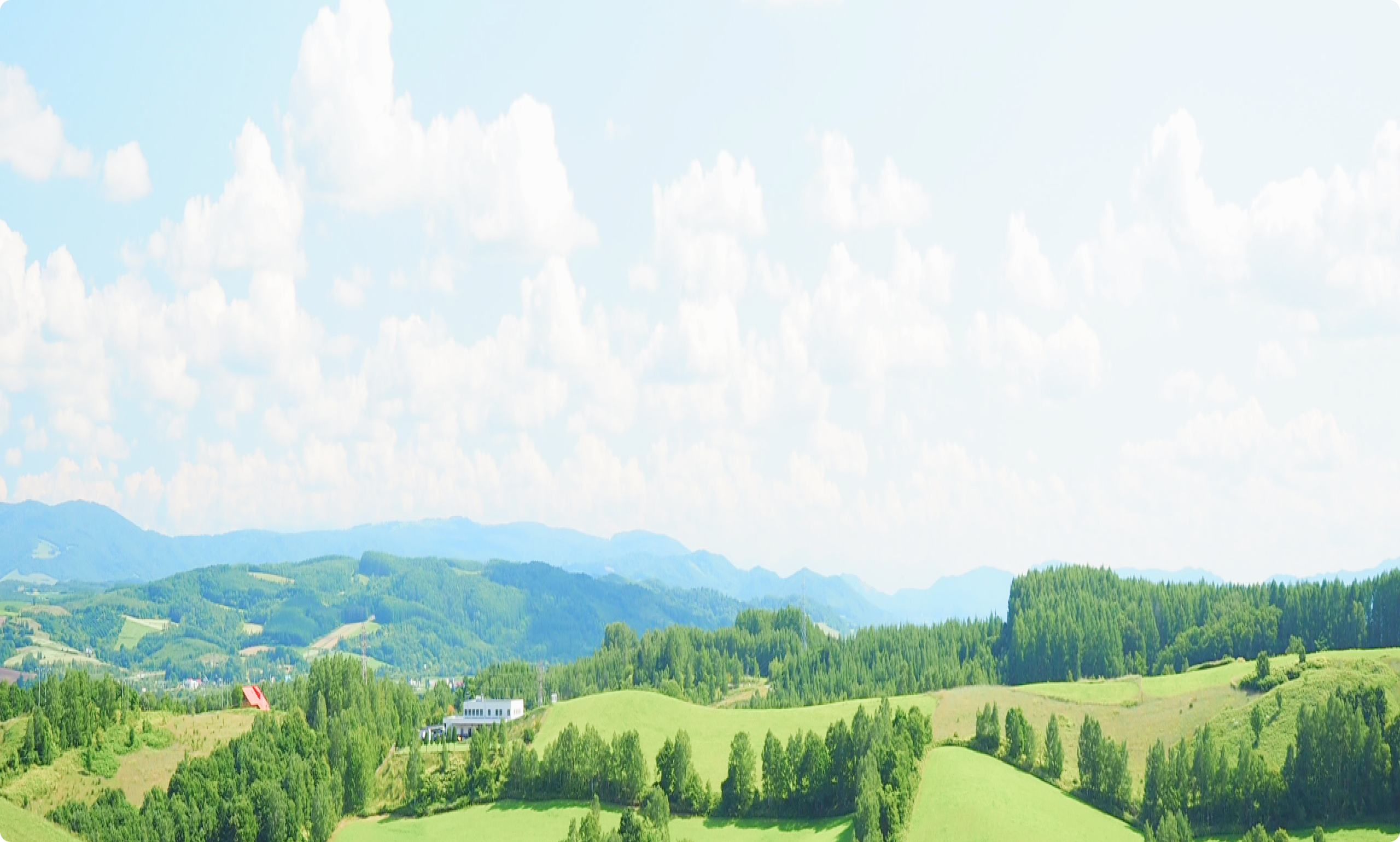青空の下に広がる緑豊かな田園風景